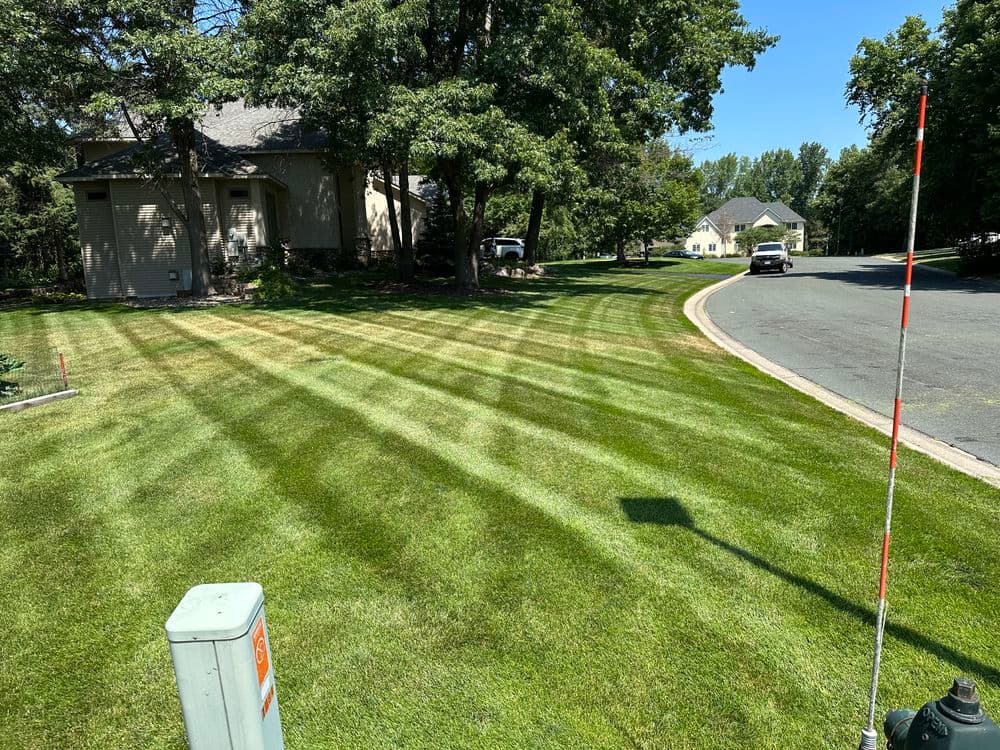 Lawn Maintenance